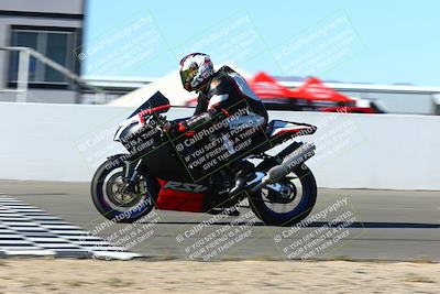 media/Jan-09-2022-SoCal Trackdays (Sun) [[2b1fec8404]]/Front Straight Speed Shots (1pm)/